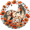 Appaloosa
