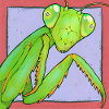 The praying mantis