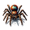 Spider / Web / Pet / Reptile / Eight-legged