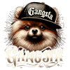 Piccolo regalo per cani Spitz Gangsta Gangster