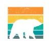 Grizzly Bear Brown Bear