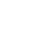 Grizzly Bear Brown Bear