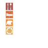 Grizzli Ours brun