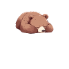 Grizzly Bear Brown Bear