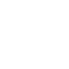 Grizzly Bear Brown Bear