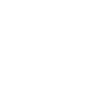 Retro Elephant Spiritual Animal Design