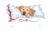 Labrador Chien Chiens
