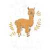Alpaca Llama Alpacas Animal