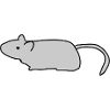 Mouse, Rat, Symbol, Animal, Gray