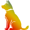 Shiba Inu Dog
