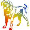 Mastiff Dog