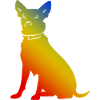 Chihuahua Dog