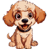 i love Poodles