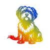 Havanese Dog