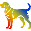 Kangal Dog