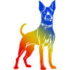 Pinscher Hund