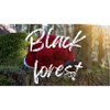 Black Forest