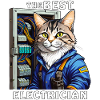 ELECTRICIAN CAT THE BEST ELECTRICIAN