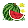 Melon Poison