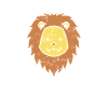 Africa Lion Predator King