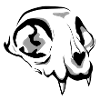 Cat Skull