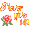 Never give up