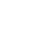 100% Established in 2006
