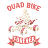Quad Bike Skeleton