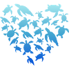 Turtle Love