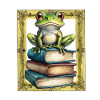 Frog Frogs Book Books Toad