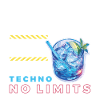 GIN TECHNO SANS LIMITES