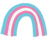 Trans is beautiful