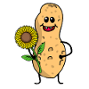 Peanut Peanut Funny Cute Sunflower