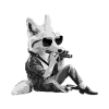 Fox Harmonica Playing Gift