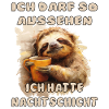 Funny Sloth Saying Night Shift