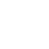 Grizzly Bear Brown Bear
