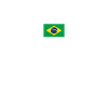 Rio de Janeiro Brésil Brésil Drapeau