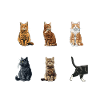 Cat Cats Tricks Funny Cats