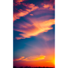 Orange sky