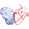 Brain and heart
