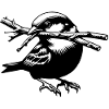 Sparrow