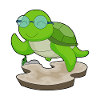Turtle Glasses