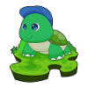 Tortoise Student Cap School