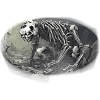 Pandaskelett