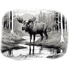Elk
