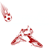 Austria Fussball flying ball