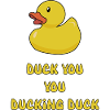 Canard toi canard esquive
