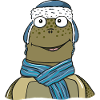Turtle in winter