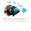 Humuhumunukunukuapua'a Hawaiian Reef Triggerfish