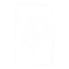 Lion blanc encadré